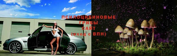 хмурый Алексин