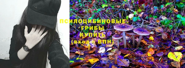 круглые Алексеевка