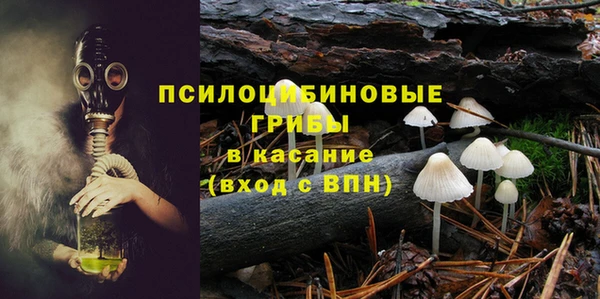 хмурый Алексин