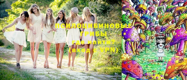 хмурый Алексин