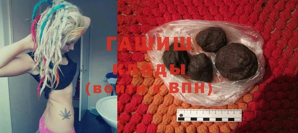хмурый Алексин